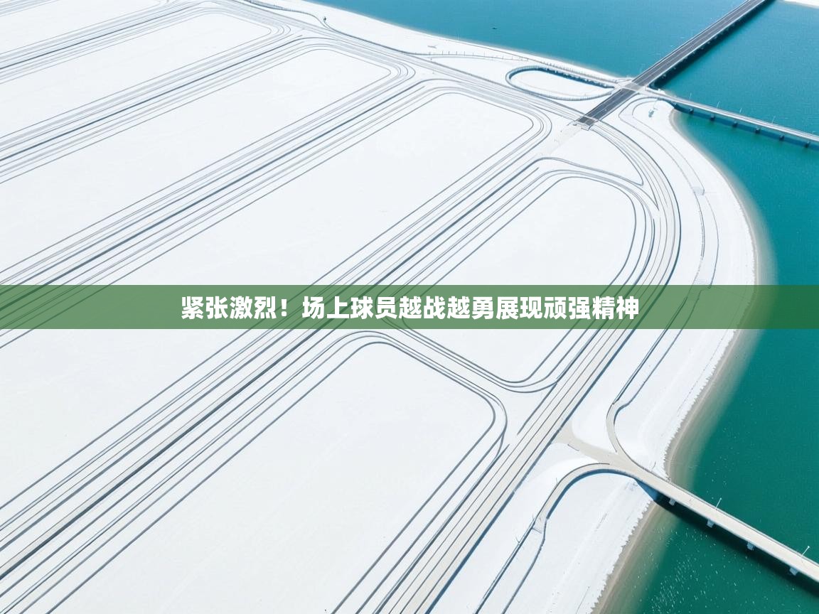 紧张激烈！场上球员越战越勇展现顽强精神