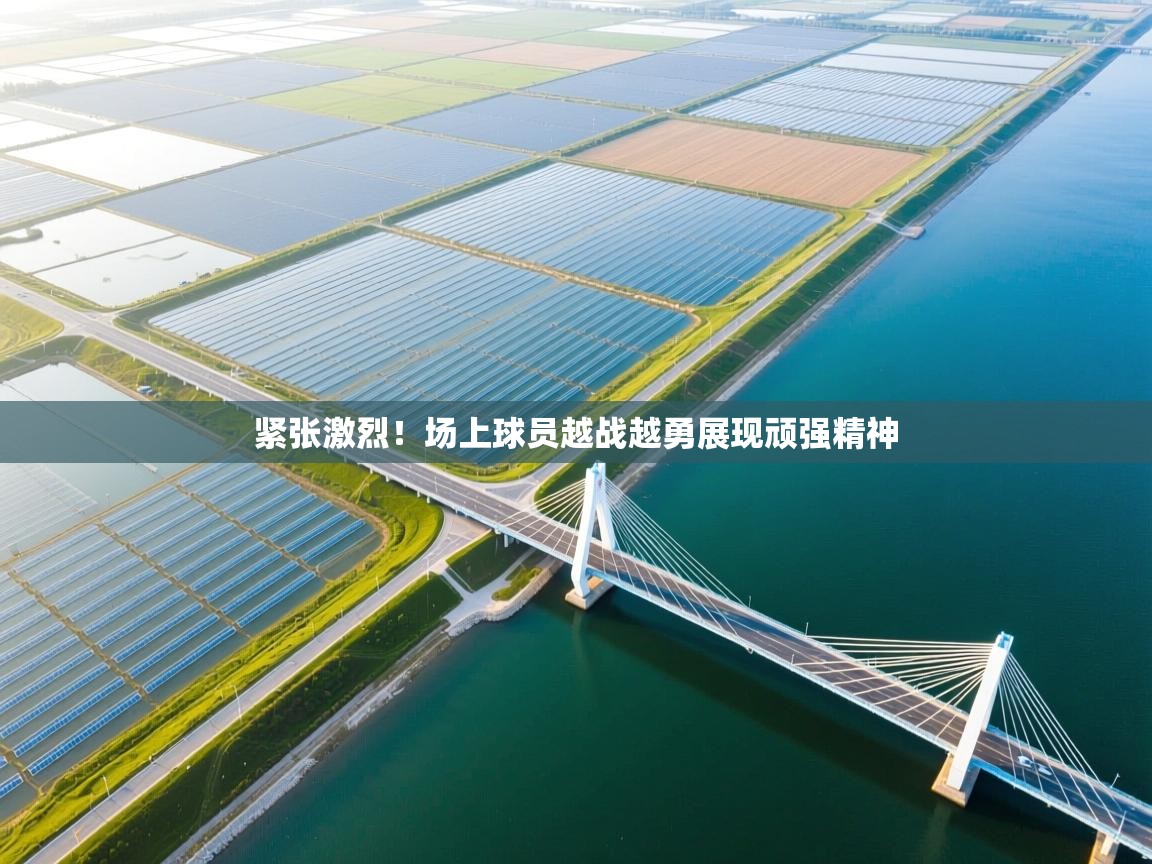 紧张激烈！场上球员越战越勇展现顽强精神