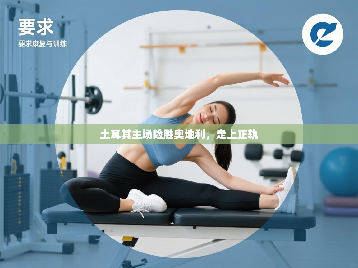 土耳其主场险胜奥地利，走上正轨