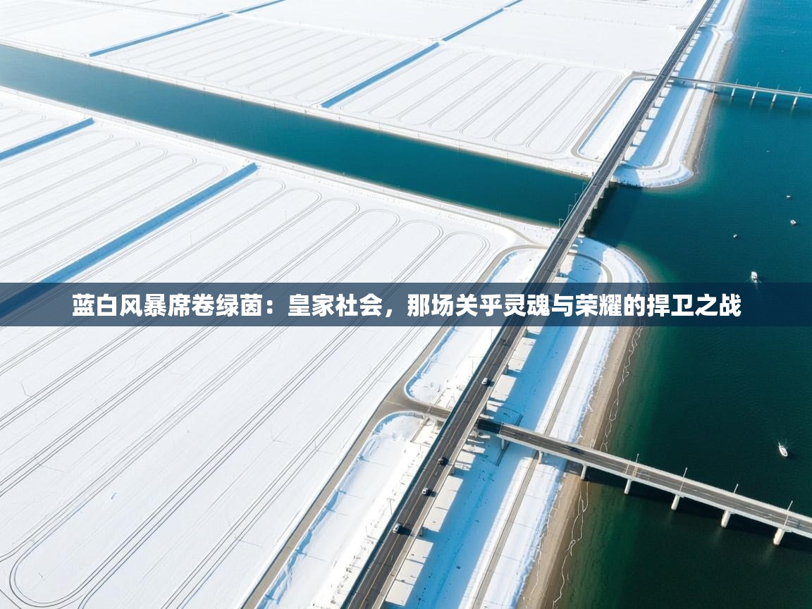 蓝白风暴席卷绿茵：皇家社会，那场关乎灵魂与荣耀的捍卫之战  第1张