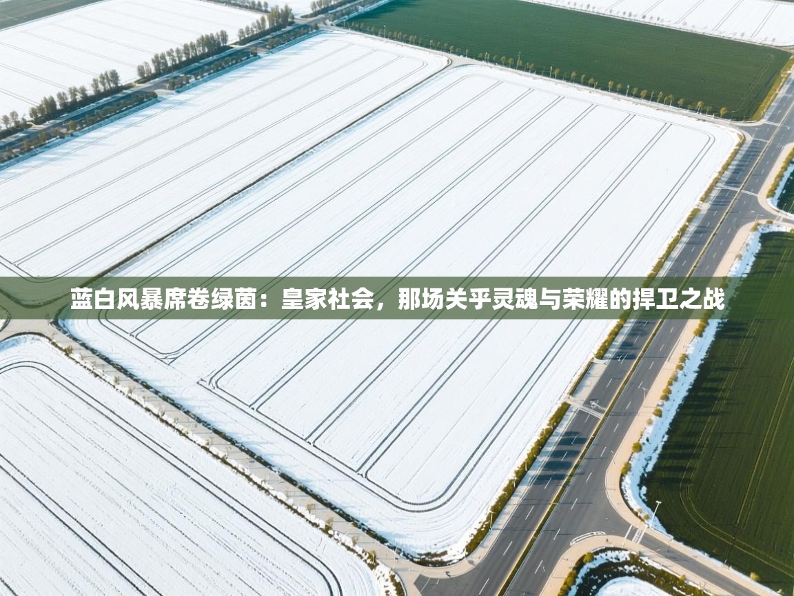 蓝白风暴席卷绿茵：皇家社会，那场关乎灵魂与荣耀的捍卫之战  第2张