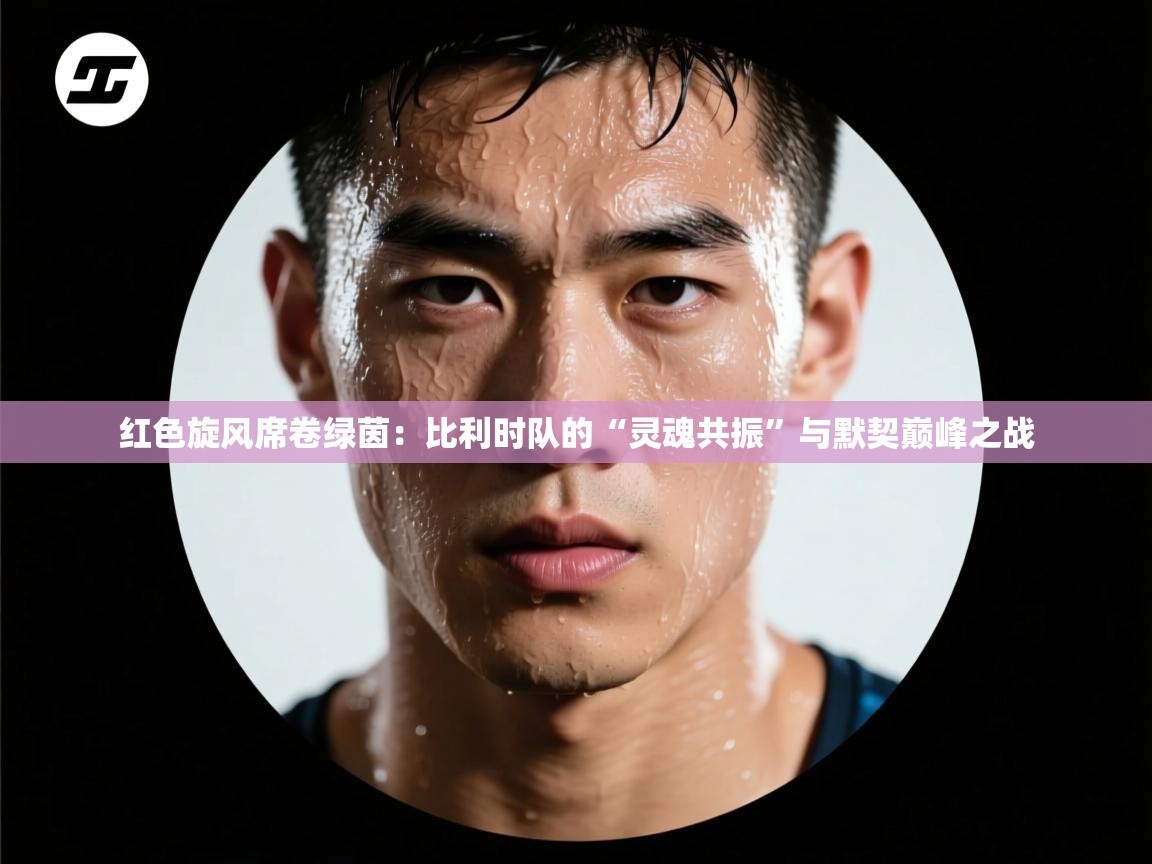 红色旋风席卷绿茵：比利时队的“灵魂共振”与默契巅峰之战