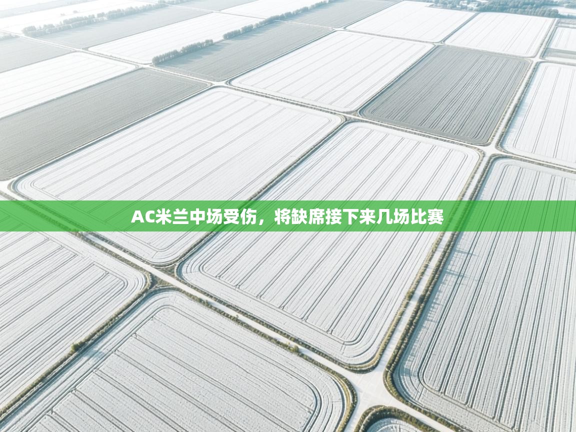 AC米兰中场受伤，将缺席接下来几场比赛  第2张