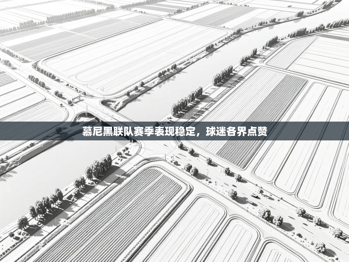 慕尼黑联队赛季表现稳定,球迷各界点赞 第1张